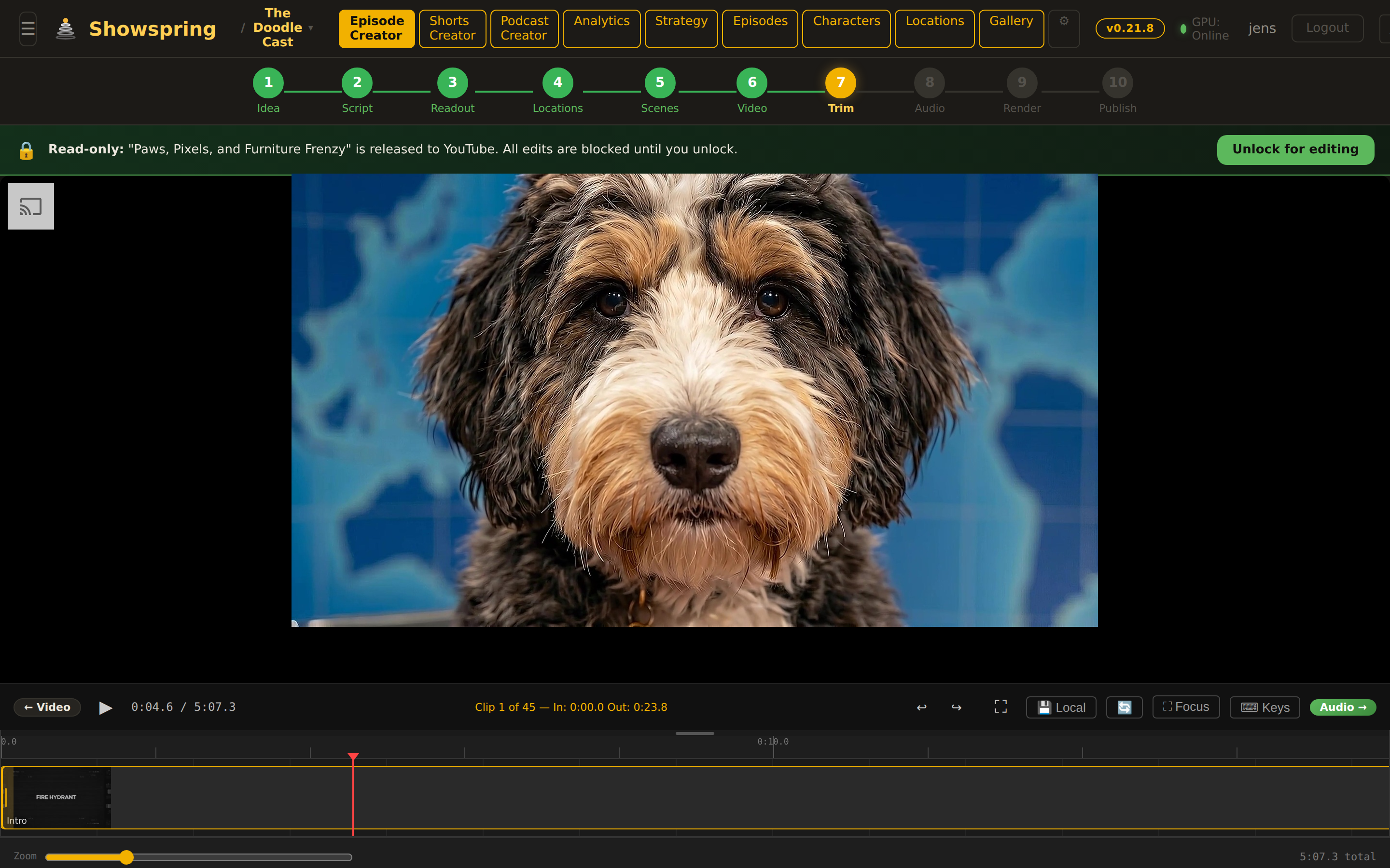Trim timeline with video preview, duration ruler, video track with clip tiles, and audio lanes with intro and dialogue waveforms